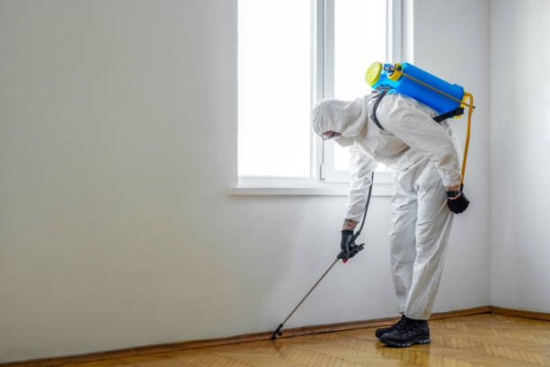 Best Pest Prevention Services  in Bellville, TX